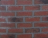 20081001084526_5193-2.jpg